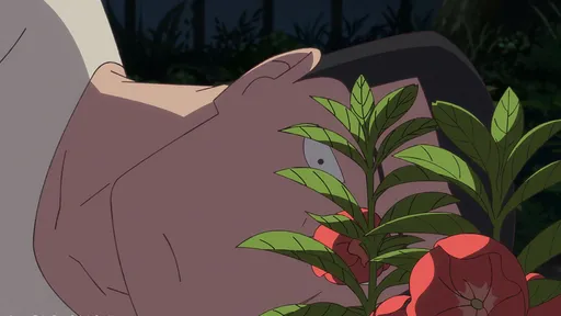 《奇蹟鳳仙花》金馬大獲好評　11/28-30北中南招待女性觀眾