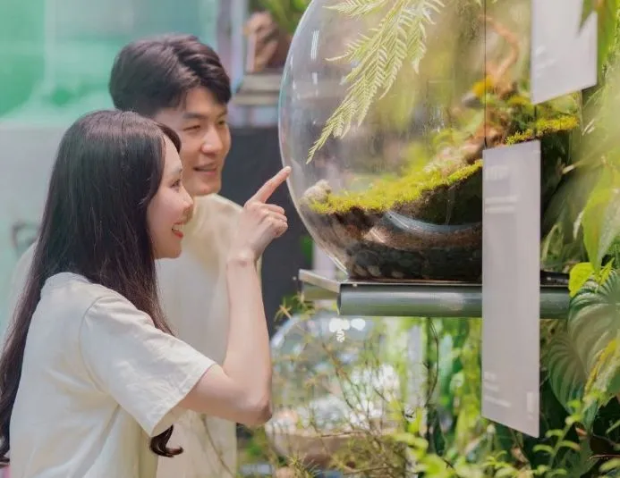 植感桃园大溪豆干节明天登场。主办单位提供