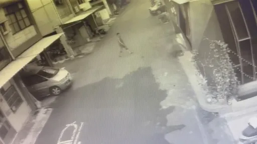 通緝犯誆沒錢看病！騙8旬婆1.2萬　里長急調監視畫面找人