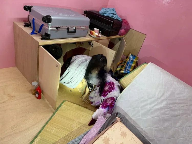 清涼女僕裝應召女被警方揪出。翻攝畫面