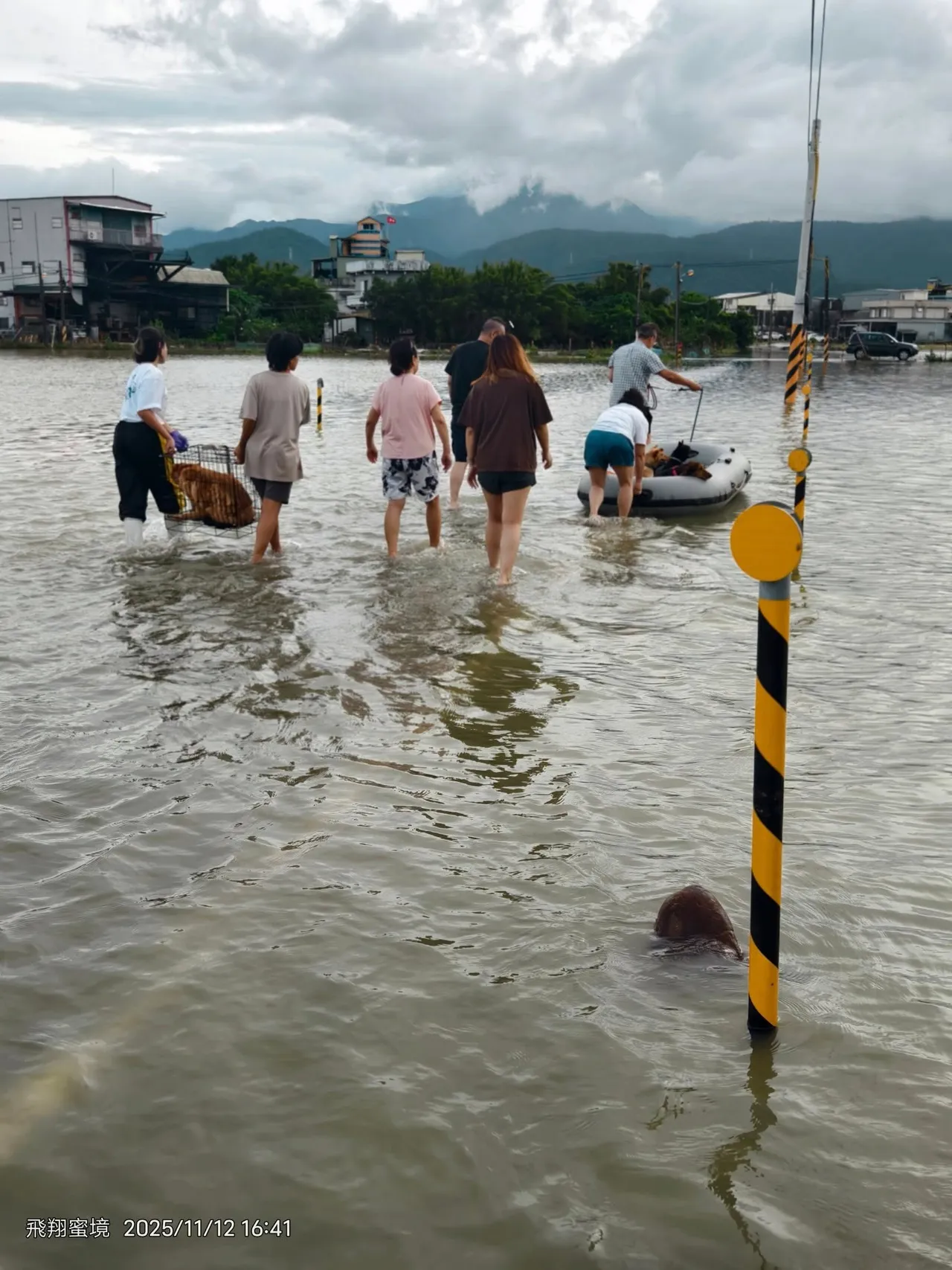 一伙人协助撤离毛孩。翻摄飞翔蜜境-社团法人台湾莉丰慧民 V 关怀动物协会脸书