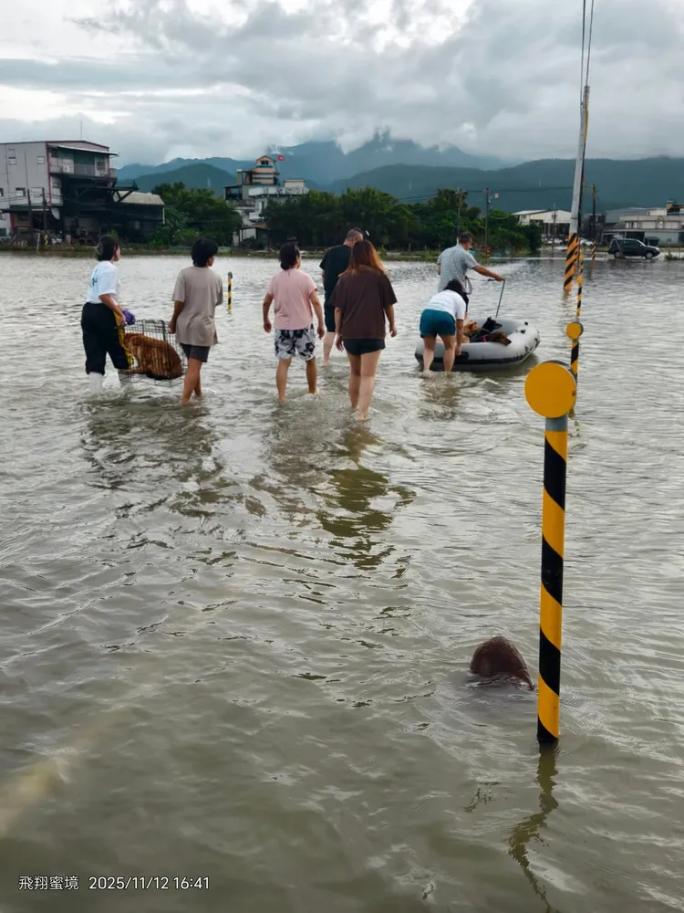 一夥人協助撤離毛孩。翻攝飛翔蜜境-社團法人台灣莉丰慧民 V 關懷動物協會臉書
