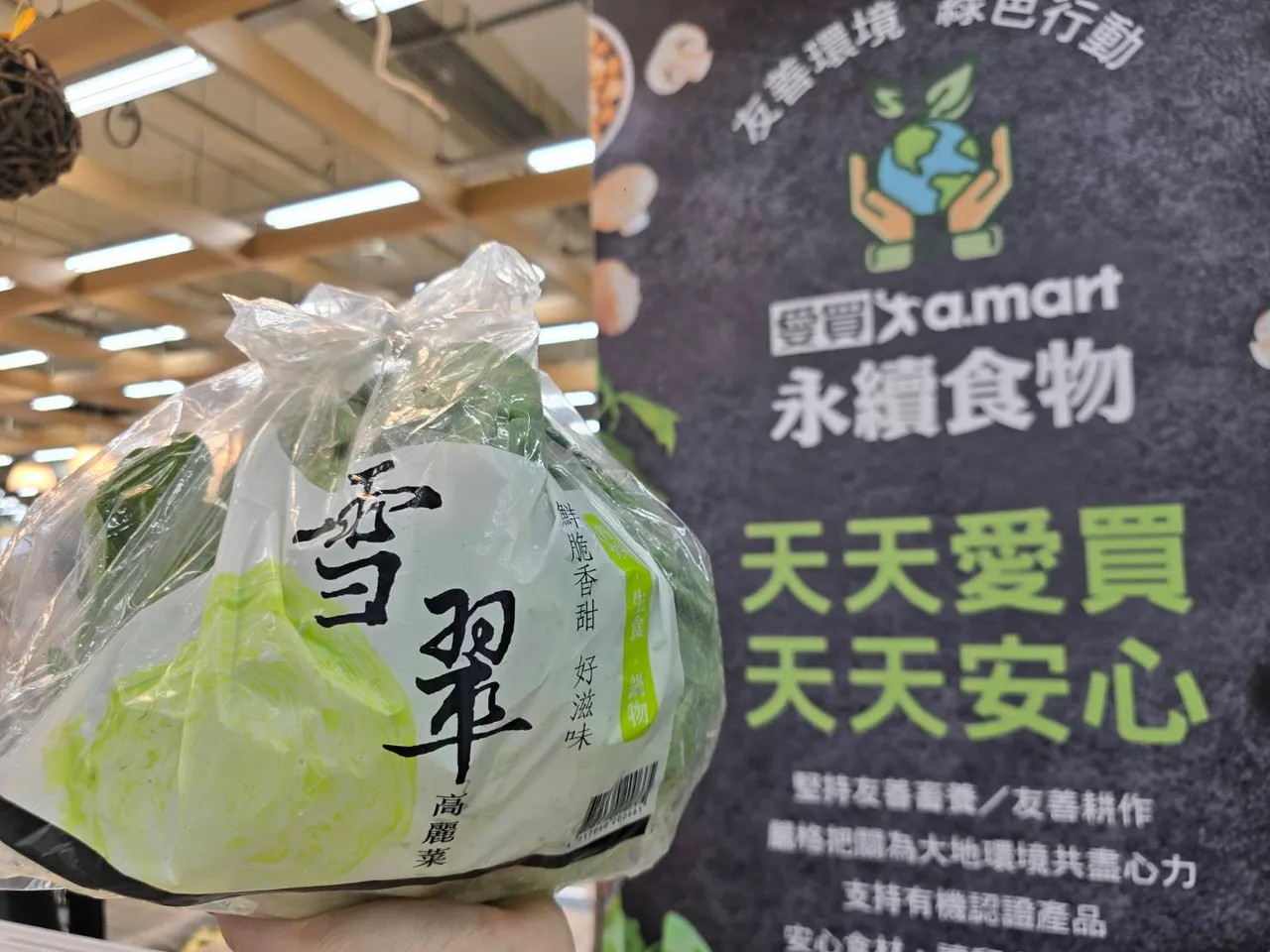 火鍋必吃的雪翠高麗菜單顆59元。業者提供