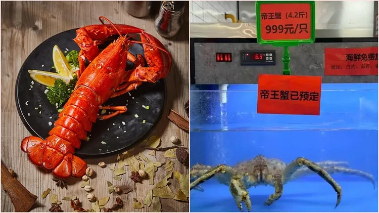 南京大学学生餐厅出现龙虾与帝王蟹。翻摄自pixabay、微博