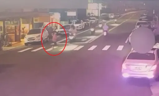 为收养流浪猫向商家要纸箱　苗栗木雕街女游客过马路被撞身亡 