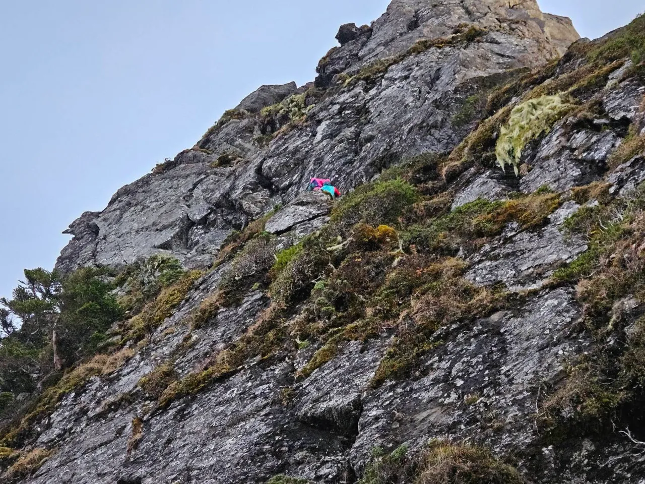 女山友攀关山，受困陡峭岩壁，高雄市政府消防局陆空合力救援，将人救出险境。高市消防局提供