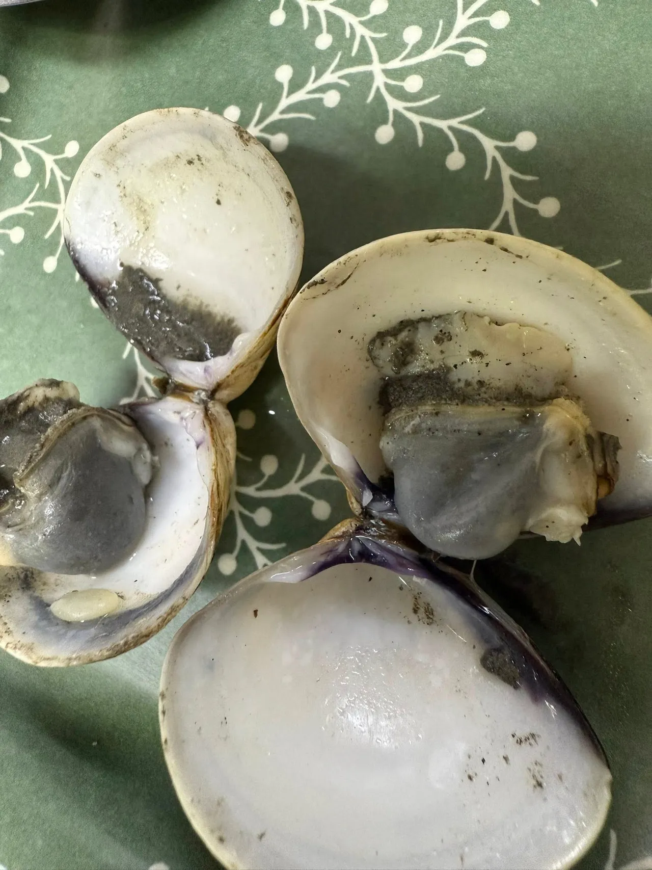 好市多蛤蜊吐过沙依旧鼓成黑球。翻摄「Costco好市多 商品经验老实说」脸书