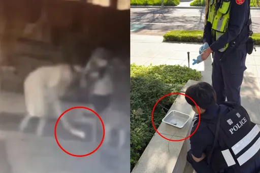 唱K后拉K！林口6男女「路边集体吸毒」　犯罪工具丢豪宅花圃吓坏住户