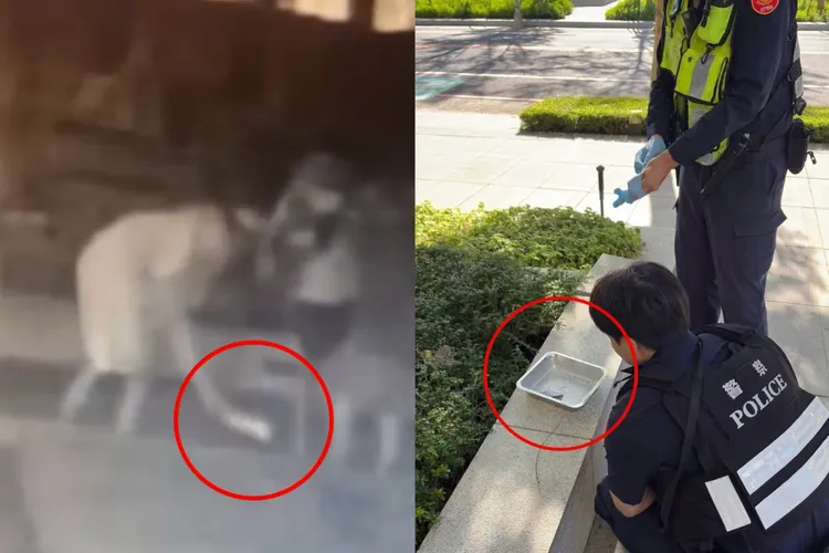 警方在林口某豪宅后门花圃查扣K盘(图右)，经调阅监视器画面(图左)，锁定涉嫌在当地吸毒4男2女，正积极查办到案。翻摄自林口大家庭脸书