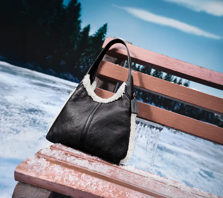 高人氣的Brooklyn手袋於本季增添羊羔毛元素。品牌提供