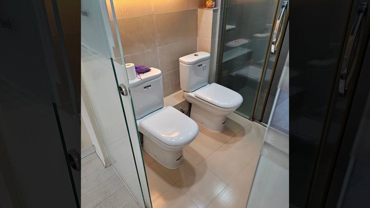 租屋驚見「情侶馬桶」零遮擋　她嚇到：多恩愛才會一起拉