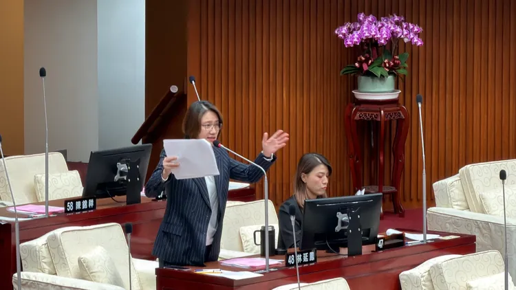 林延鳳痛批蔣萬安市政失靈，直言「孩童哭聲成台北恐怖片」。林延鳳議員辦公室提供