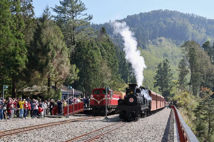 阿里山林铁的二万平车站。中央社