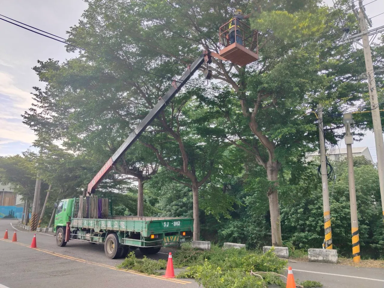 中市府提前修剪公园及绿地树木，防止断枝倒树影响安全。市府提供