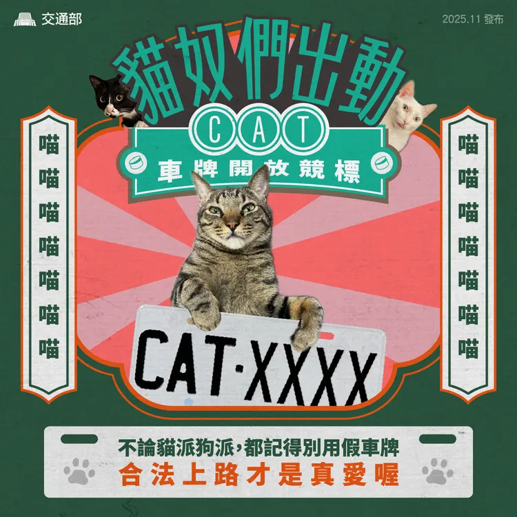 梦幻车牌「CAT」系列决标引起抢购潮。翻摄自交通部脸书