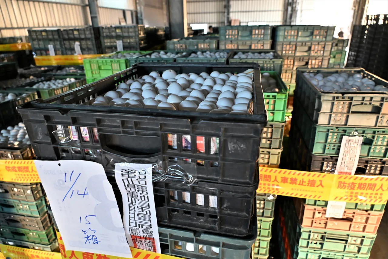 文雅畜牧场在短暂解除管制期间随即出货到台中、新北。县府提供