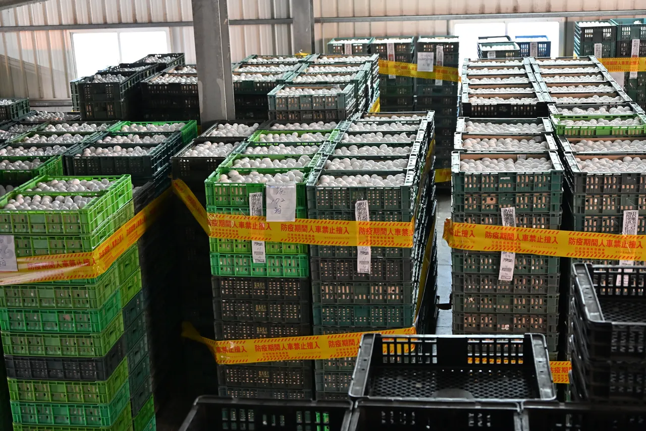 文雅畜牧场25万颗管制蛋品均由彰化县府销毁。县府提供