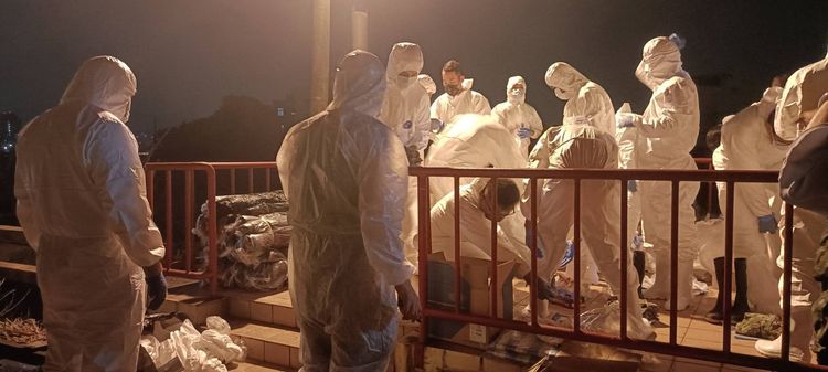 中央疫調豬瘟　醫師直戳「最重要問題」沒答！怒轟這高官最離譜