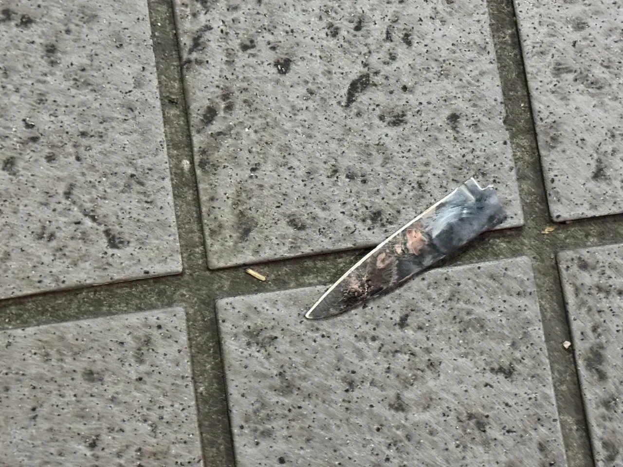 蘇男所持兇刀。翻攝畫面