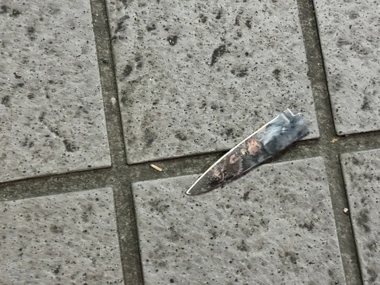 蘇男所持兇刀。翻攝畫面