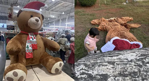 好市多充气熊降2千　她火速带回家！网友全喊羡慕：重点不在熊