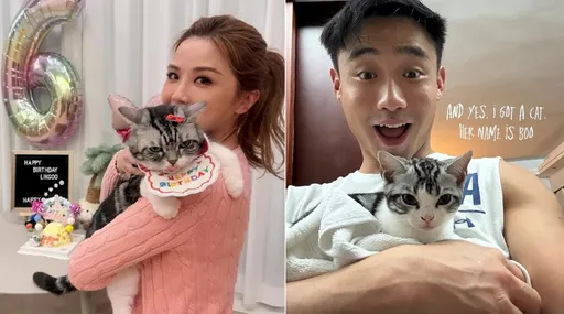 阿Sa绯闻男友抱她猫宣示主权！情定小9岁健身教练