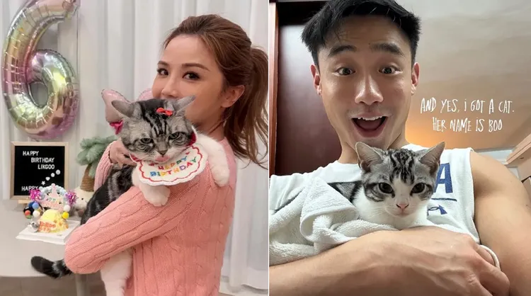 阿Sa与健身教练Elvis一起养猫。翻摄2人IG