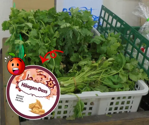 网推「哈根达斯＋香菜」超好吃！竟钓出蔡英文现身回应