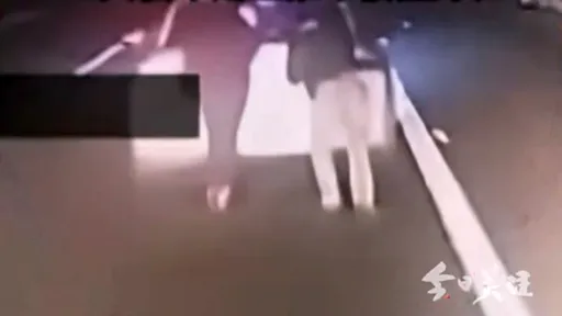 電動車堅持開到沒電　頑固駕駛高速公路推車20公尺就被撞死