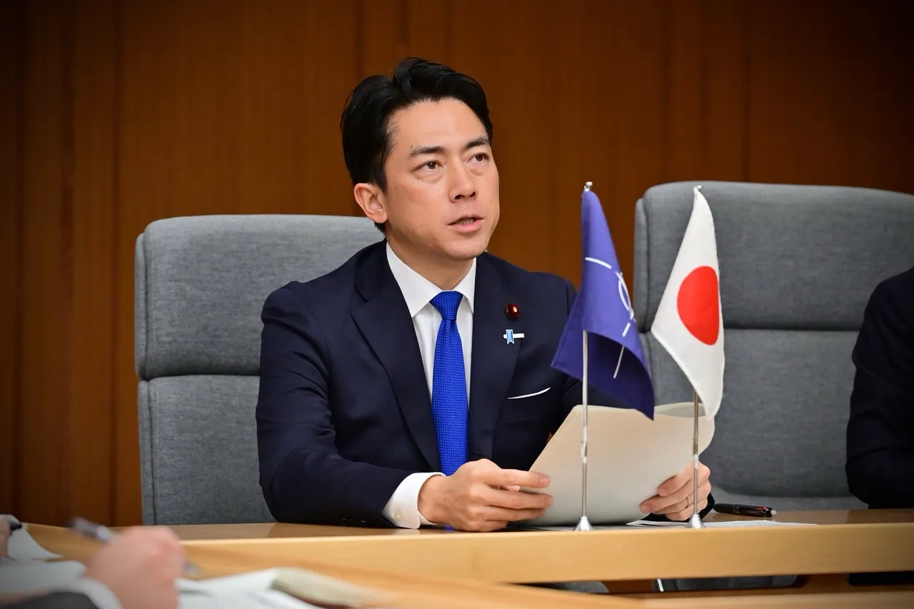 撤「台湾有事」论？日防相小泉霸气给答案　最新民调出炉