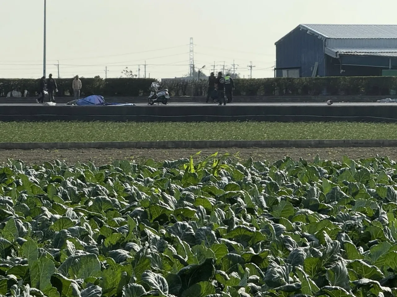 云林惊传肇逃！机车、单车骑士2人惨死　「头遭辗难辨男女」