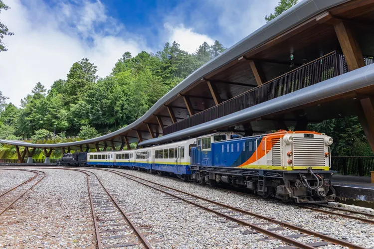 雄獅整合阿里山獨家福森號、栩悅號觀光列車賞櫻、武陵農場與福壽山農場推出保證入園、不塞車賞櫻玩法。雄獅提供