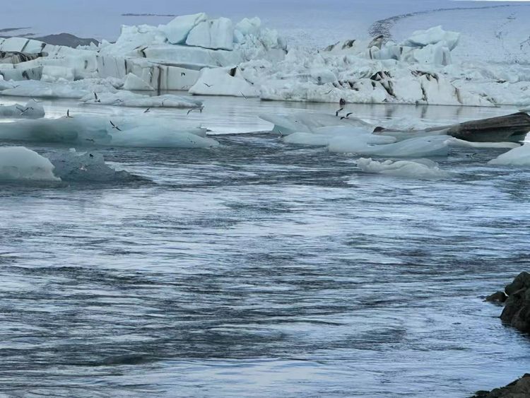 大雪來了　5生肖數錢數到笑