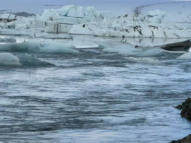 大雪節氣能帶來意外收入。