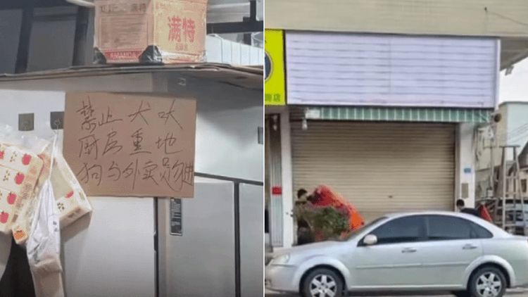 餐館公告「狗與外賣員勿進」 店員被逮捕拘留