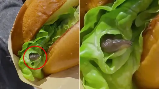 她吃鸡腿汉堡惊见鼻涕虫蠕动　业者：食材更新鲜了