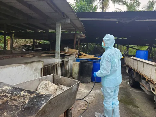 养猪场违规喂饲厨余！屏东县重罚80万元　即刻封锁场内猪只