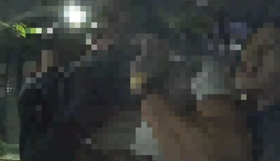 警方到场时罗男仍情绪失控。翻摄画面