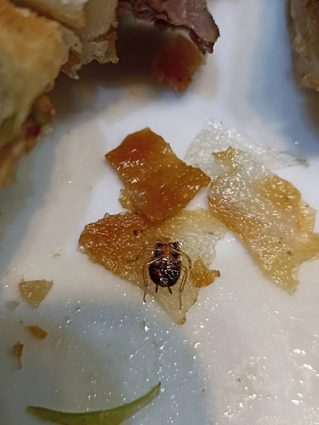牛肉卷饼发现小蟑螂，店家坦承可能是砧板用过后未立即清洗，食物残渣引来小虫。读者提供