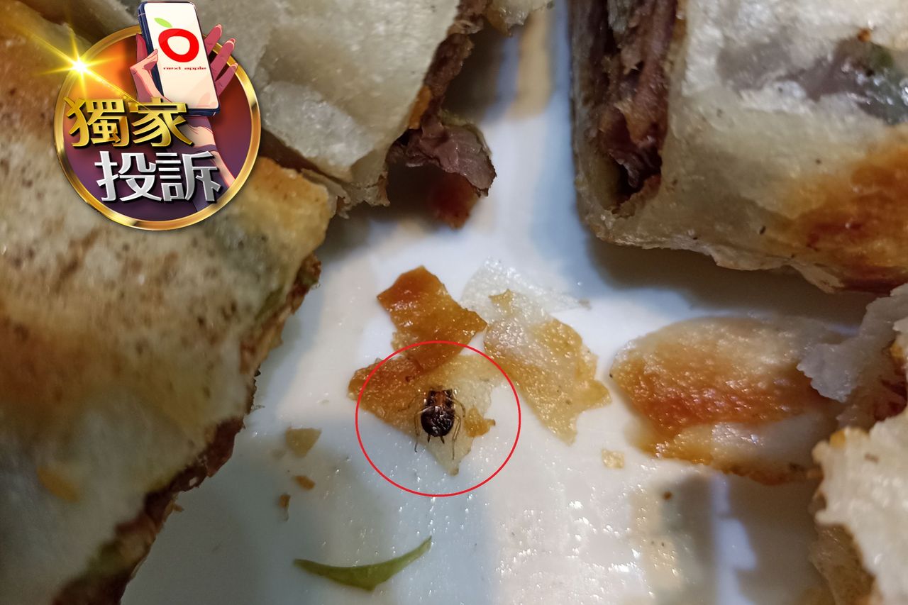 獨家投訴|「五花馬」吃捲餅驚見小強 業者坦承「1動作」未做!食安處要查