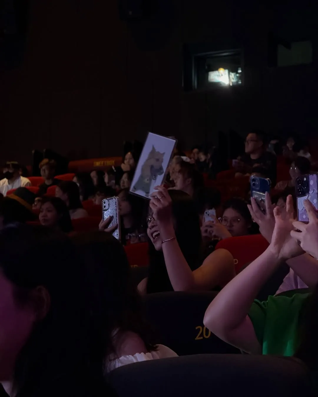 林柏宏日前在越南宣傳電影《96分鐘》有粉絲舉他愛犬「水哥」的照片應援。翻攝IG