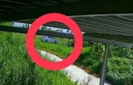 犯罪集团安排断点接应。翻摄画面