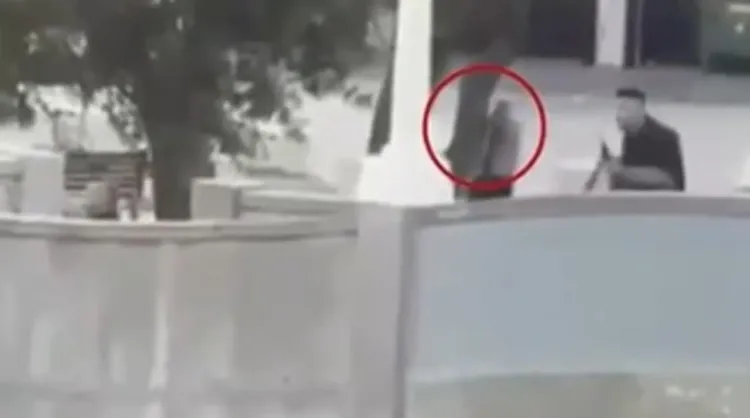 警探站在樹後作掩護，找機會對恐怖份子開槍。翻攝畫面