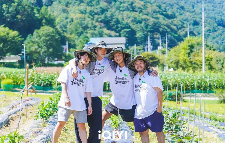 都敬秀D.O.（左起）、金宇彬、李光洙曾合作《種豆得豆》當農夫。愛奇藝國際站提供