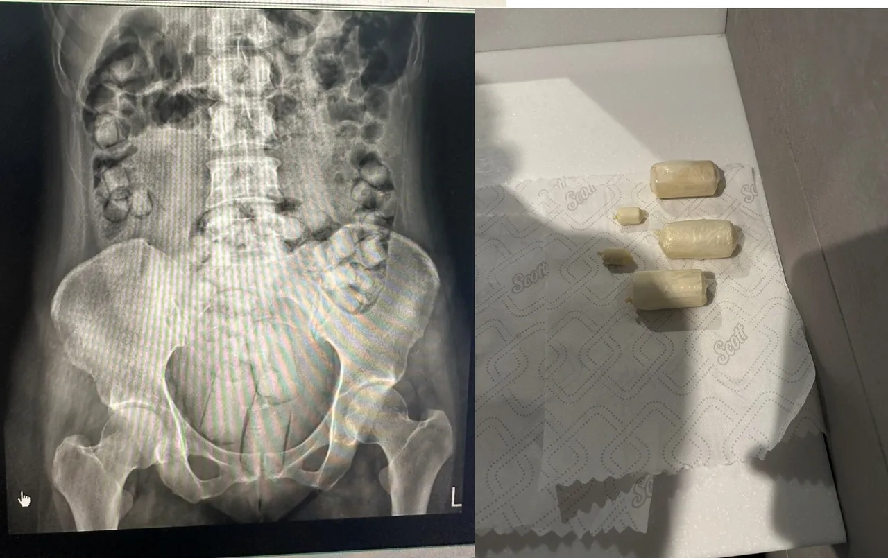 两名泰籍女子以旅游名义来台，却被贩毒集团以「空中飞人」手法当成运毒工具。海巡提供