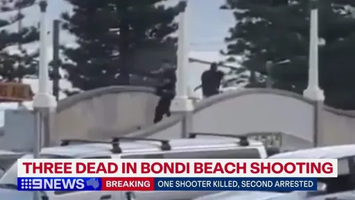 澳海滩枪手画面曝光　饭店员工以为有海啸：游客全部冲过来