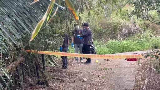 28岁女子全裸脖子有勒痕陈尸玉里公墓　警方带回男友侦讯中