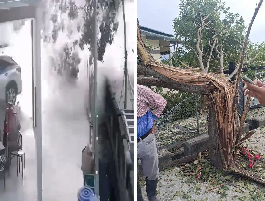 陆军实弹射击出包！榴弹射偏撞彰化3民宅　大树炸裂画面曝光