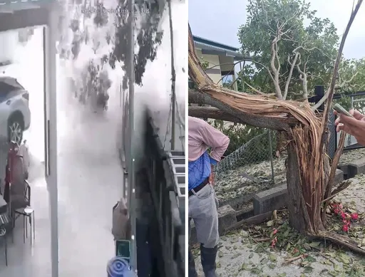 陸軍實彈射擊出包！榴彈射偏連撞彰化3民宅　大樹炸裂畫面曝光