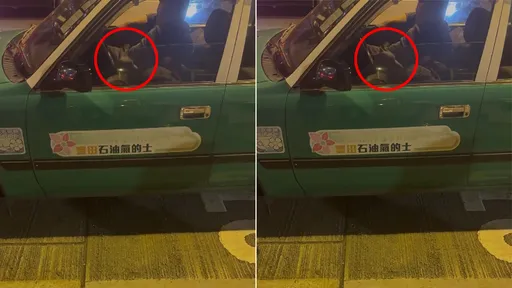 计程车运将「路边尻枪」　车窗打开不甩路人直击